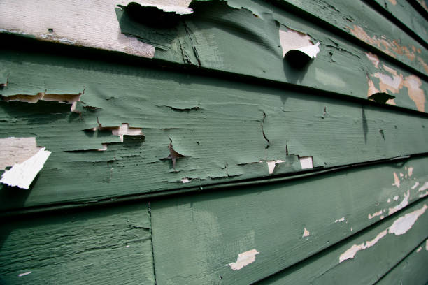 Best Yard Waste Removal  in Vernonia, OR