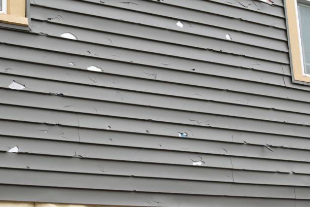Same-Day Junk Removal Services in Vernonia, OR